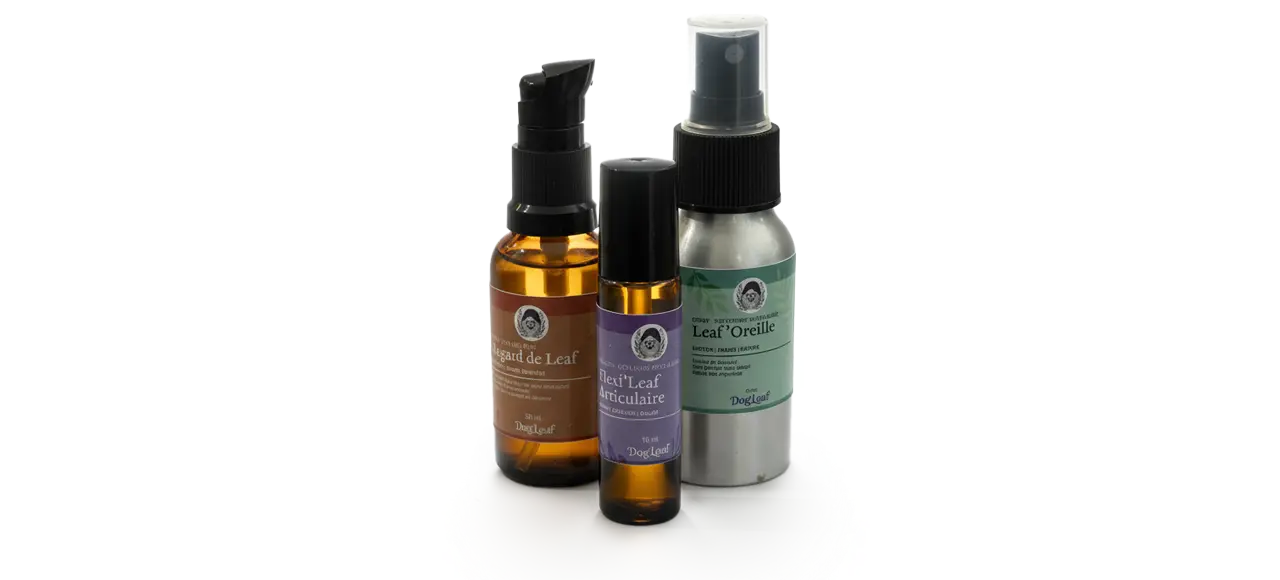 Soins Naturels Santé des Chiens Soins ciblés pour l'hygiène et le bien-être général