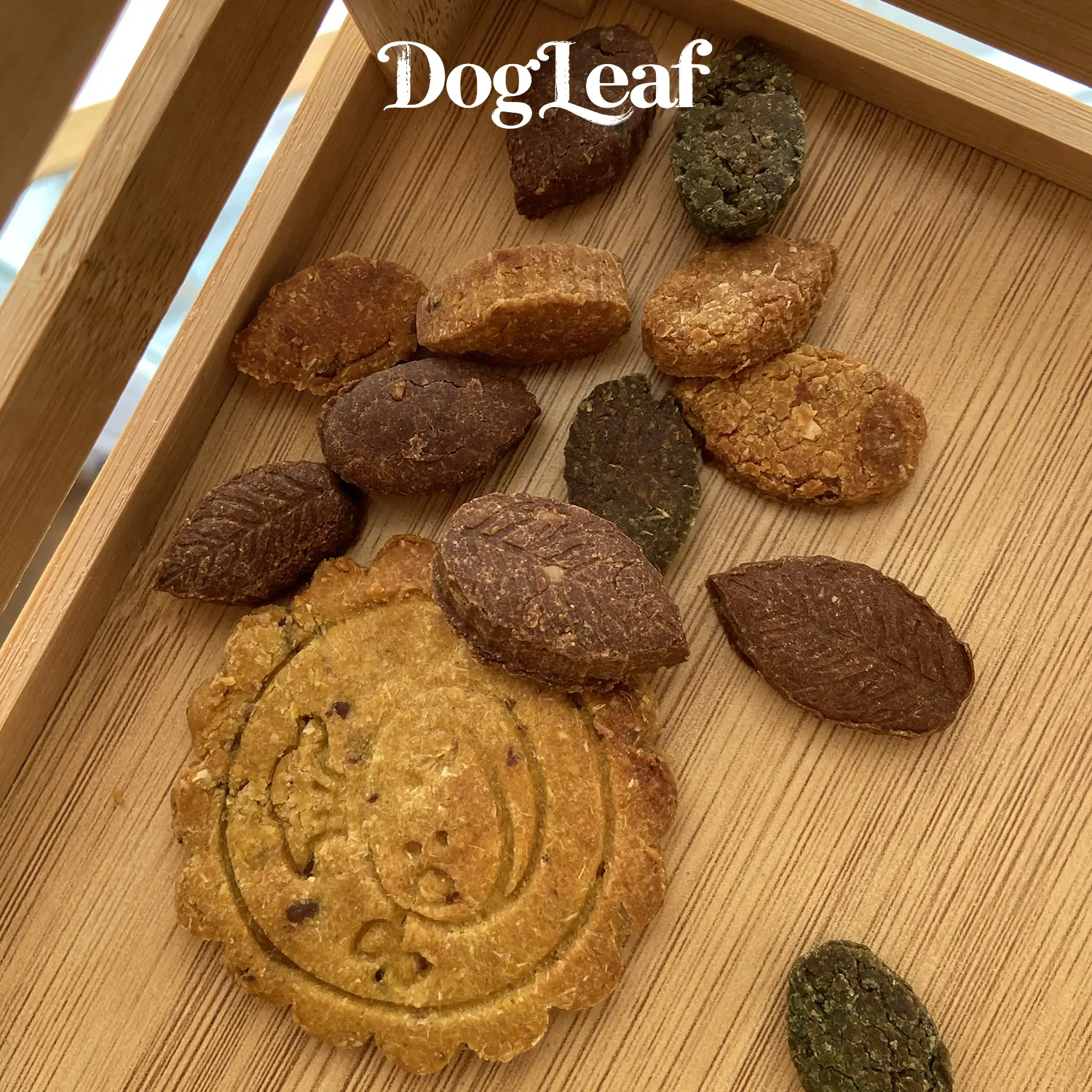 Assortiment de biscuits 100% naturels pour chien