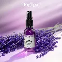 VISUEL Shine Leaf Lavande.webp