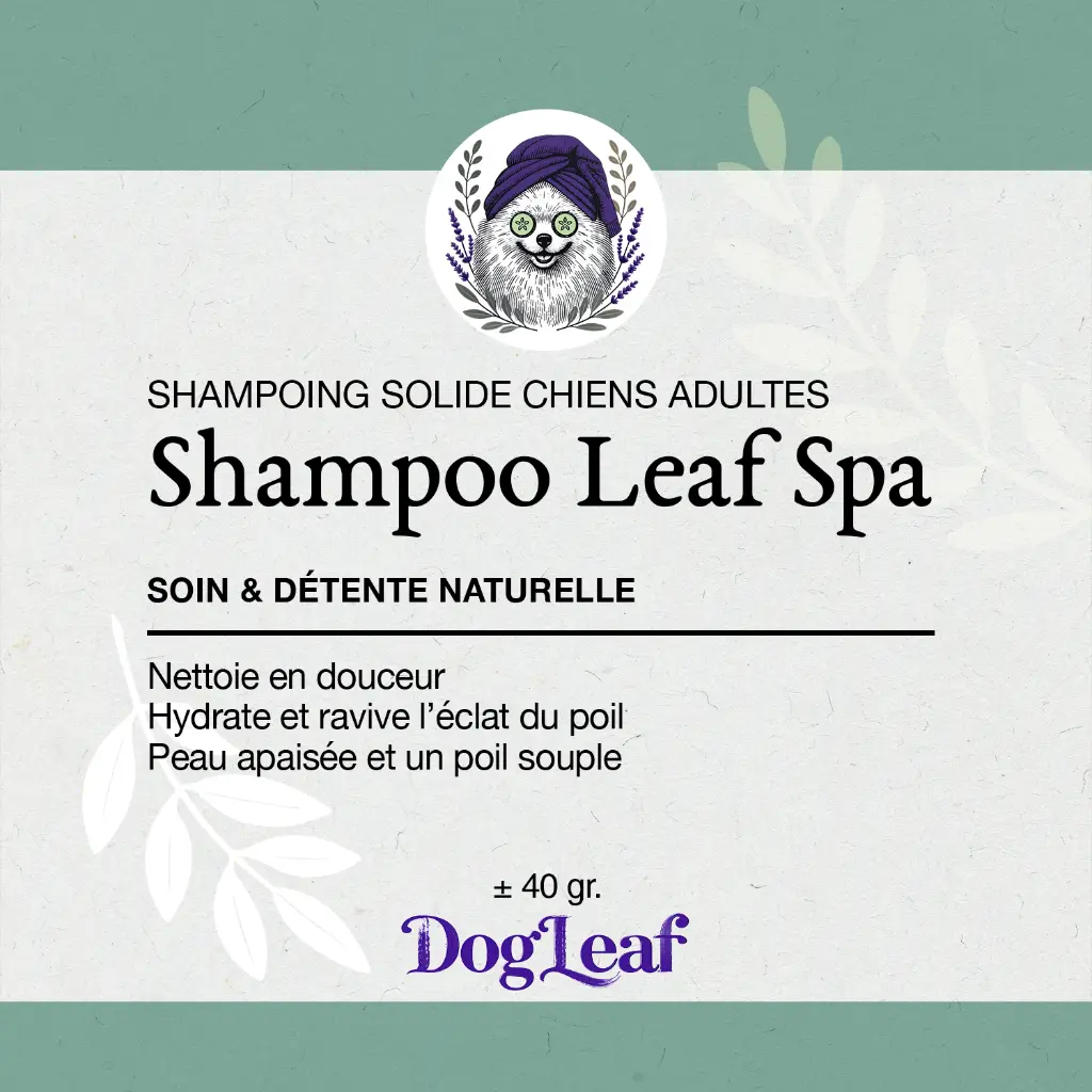 _0002_étiquette-Shampoo-Leaf-–-Spa-PAK.webp