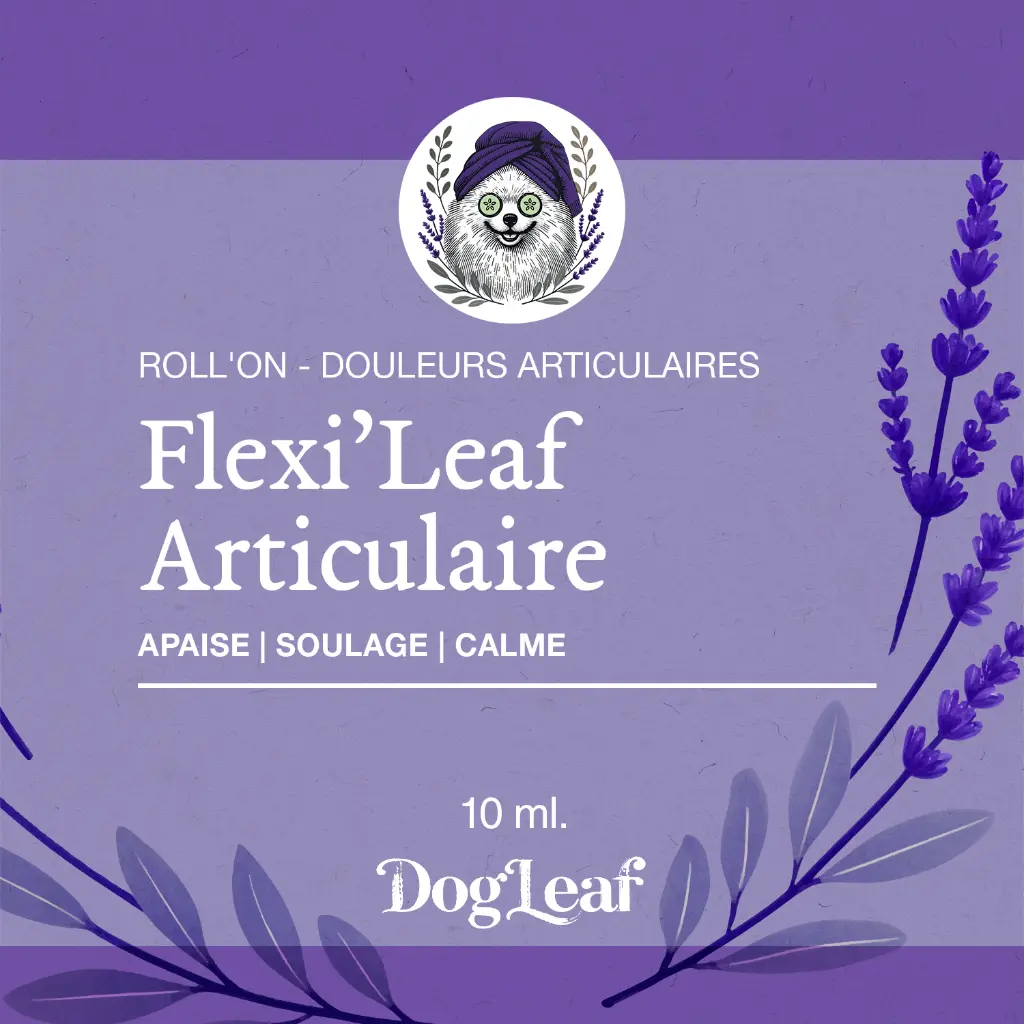 _0003_Étiquette-Roll'on---FLEXI'LEAF---ARTICULAIRE-PAK.webp