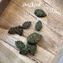 spirulleaf petits.webp