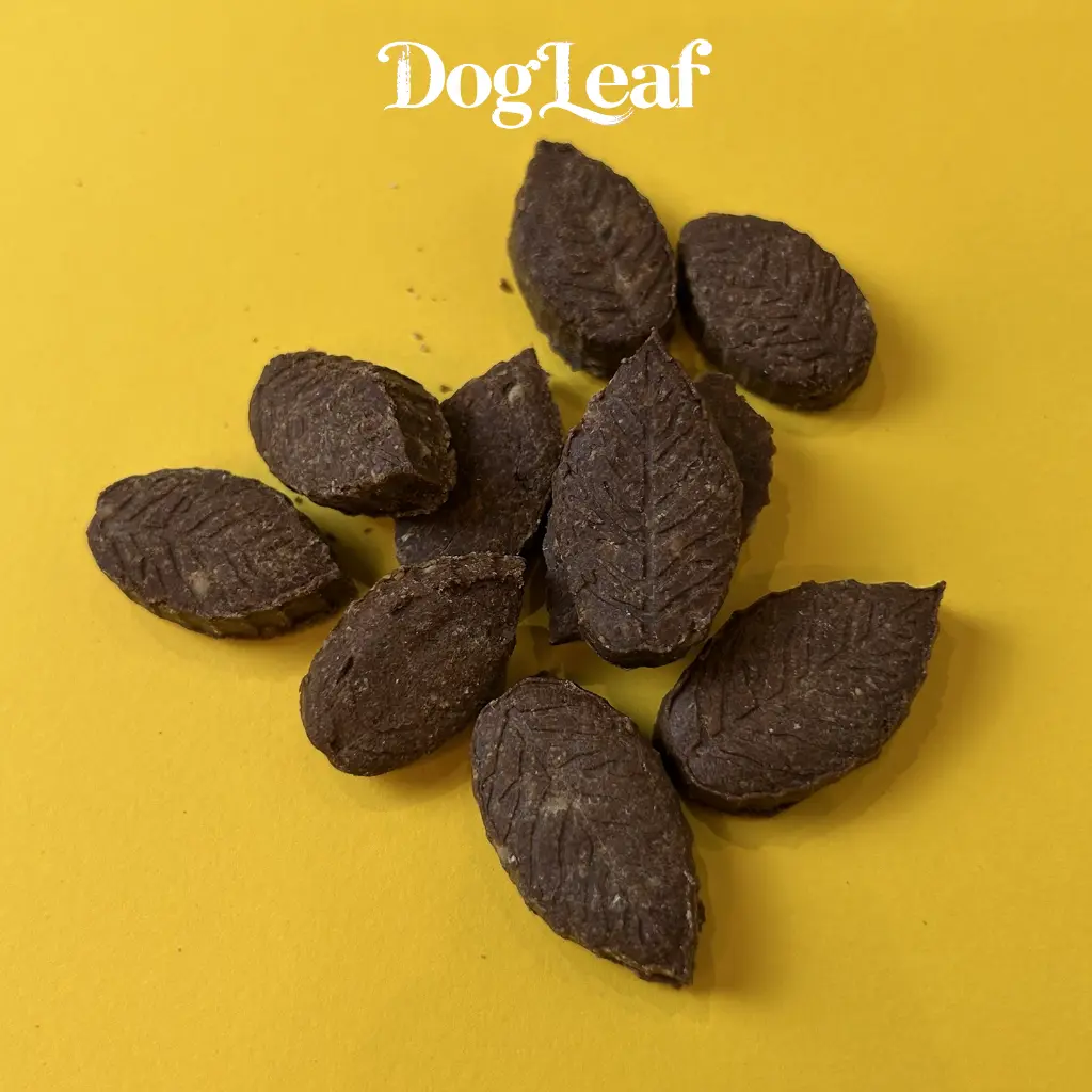 chocoleaf petits.webp