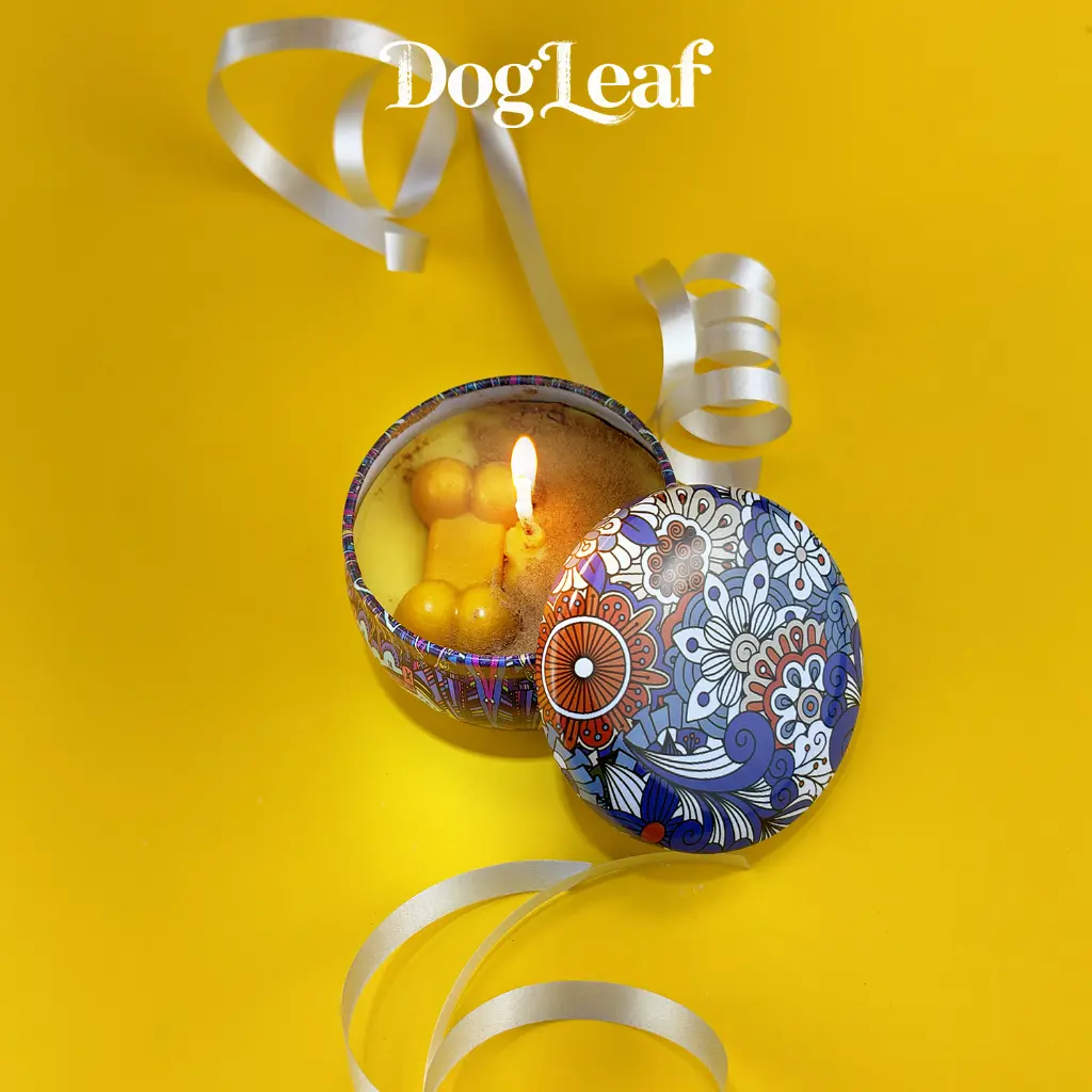 BOUGIE BLEU DE NOEL.webp