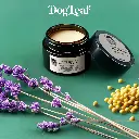 VISUEL PATTE A BISOUS VERRE 35ml.webp