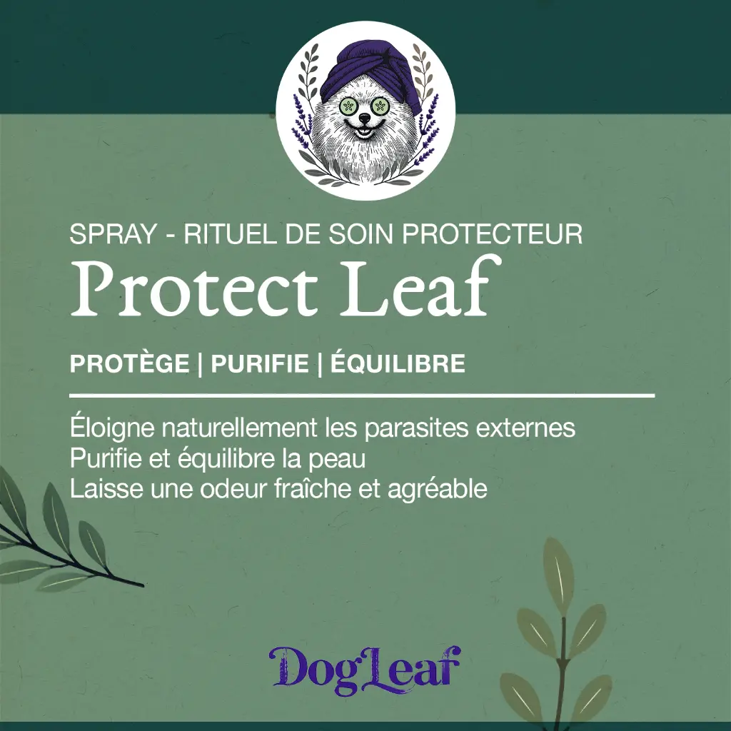 Étiquette Protect Leaf.webp