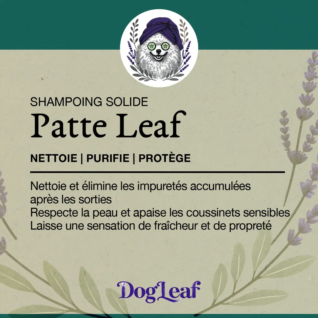 Étiquette Patte Leaf copie.webp