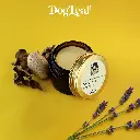 VISUEL SOLEIL DOUX BAUME DOGLEAF.webp