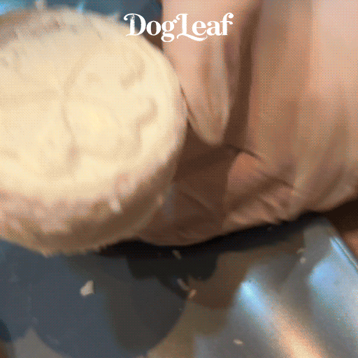 gif-popoleaf--long-256.gif