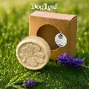 DogLeaf VISUEL POPO'LEAF1.webp