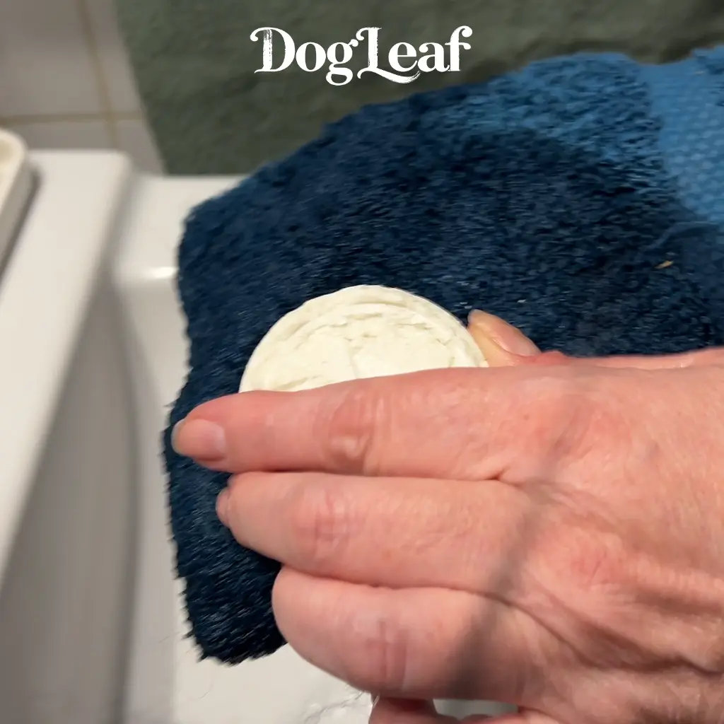 DogLeaf VISUEL POPO'LEAF5.webp