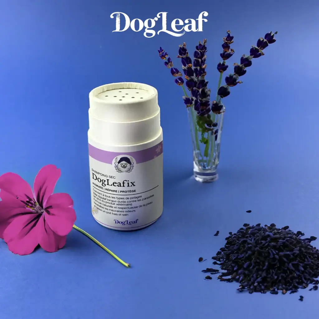 DogLeafix – Shampoing Sec Antiparasitaire naturel pour chien