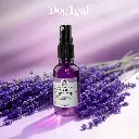 Shine Leaf – Spray brillance & démêlant naturel pour chien | DogLeaf