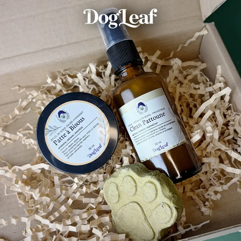 Coffret Pattes Sublimes – Rituel doux pour les pattes | DogLeaf