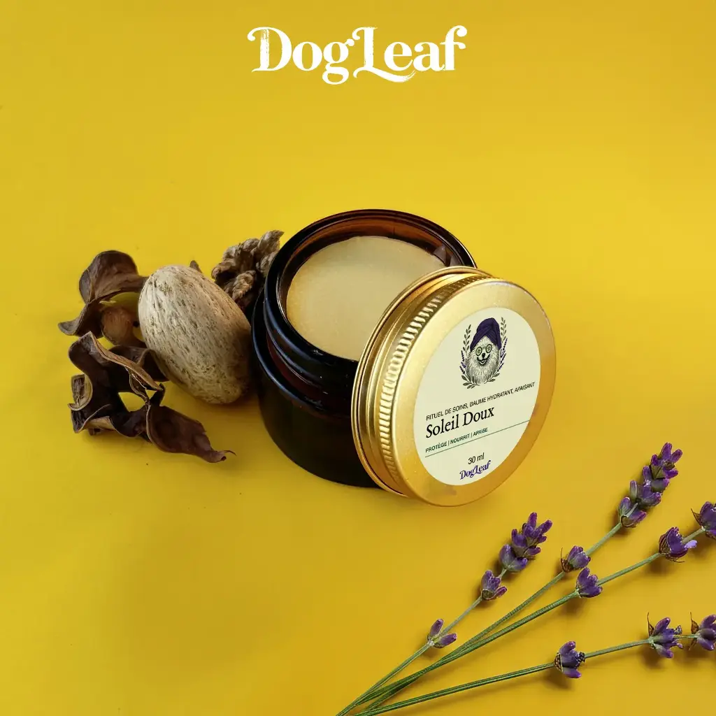 Soleil Doux – Baume Coussinets & Truffe Été 100 % Naturel