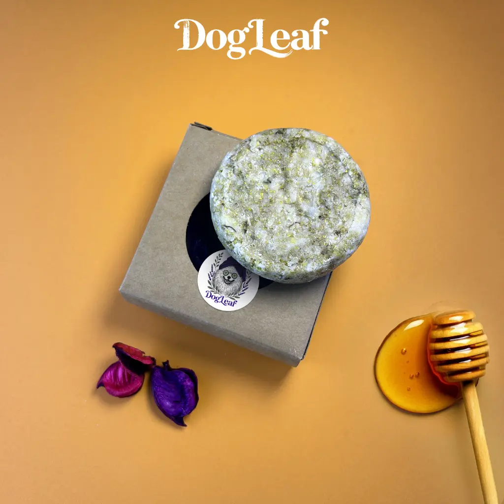 Galet'Leaf Miel Doux d'Été – Galet de Shampoing Solide Naturel pour Chien