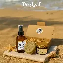 Coffret Zen Été – Une routine douce et naturelle pour l’été | DogLeaf