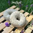 Shampoo Leaf  Lavande et Géranium - pour chiens à peau sensible et à tendance grasse | DogLeaf