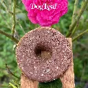 Shampoo Leaf Rose -  pour les poils longs délicats et les premières toilettes des chiots | DogLeaf