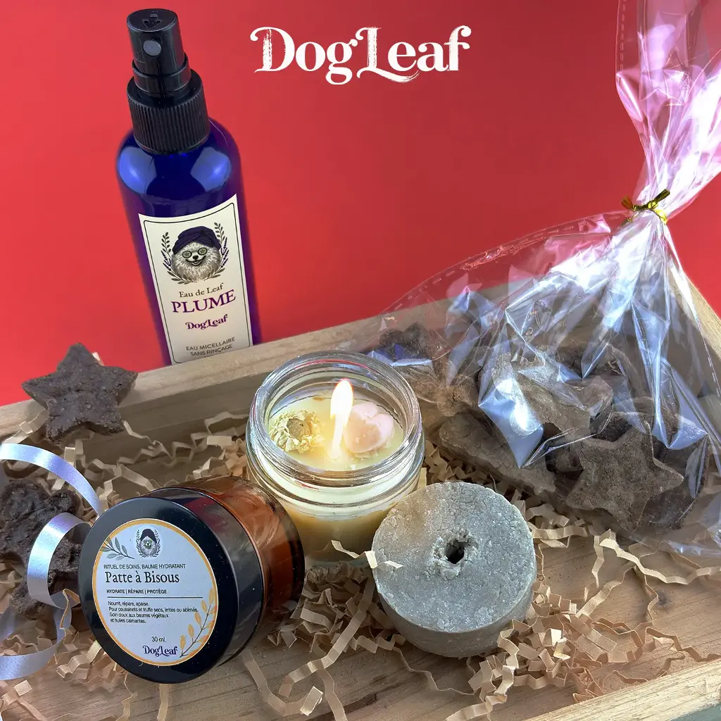Coffret de Fête – Soins naturels & friandises pour le bien-être du chien | DogLeaf