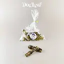 Croq'Soin – Le plaisir gourmand qui prend soin des dents !