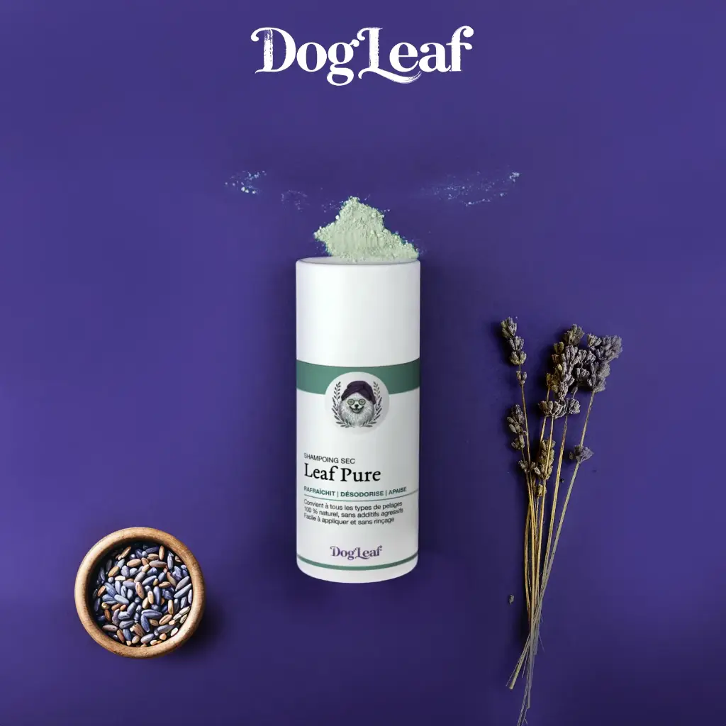 Leaf Pure – Le shampoing sec doux et aérien