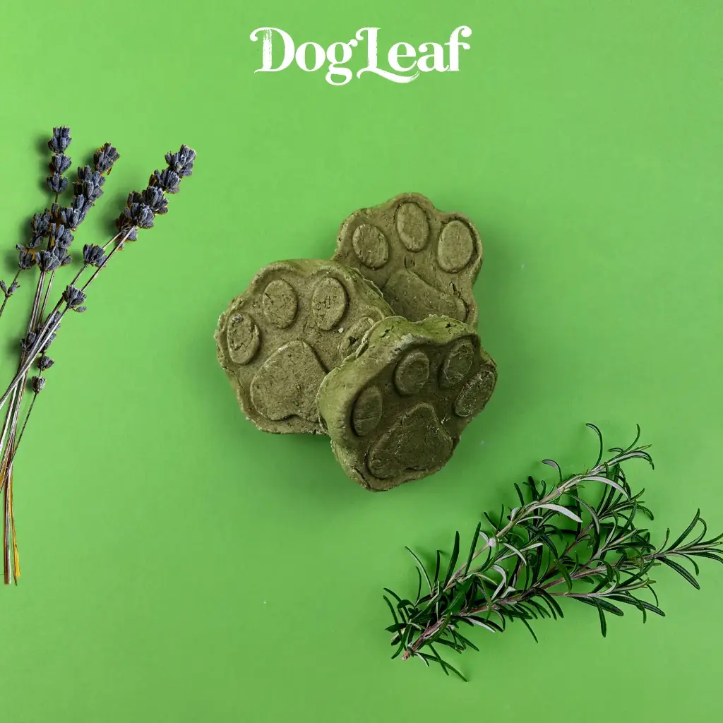 Patte Leaf – Shampoing Solide Naturel pour des Pattes Propres & Saines 