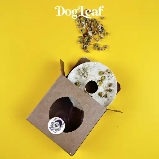 Shampoo Leaf – Camomille, Douceur et Éclat naturel