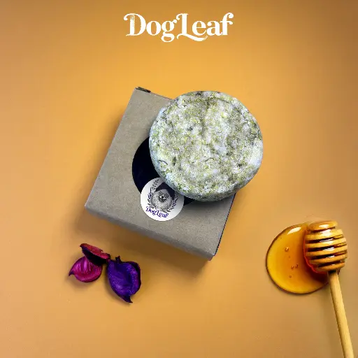 Galet'Leaf Miel Doux d'Été – Galet de Shampoing Solide Naturel pour Chien